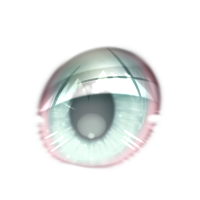 Right Eye