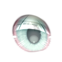 Left Eye